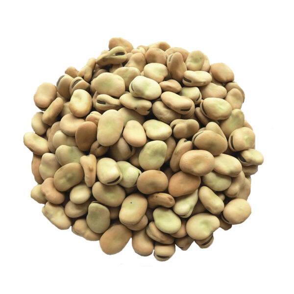 Fava Beans
