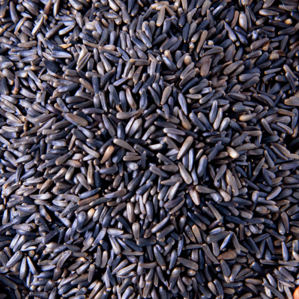 Niger Seed