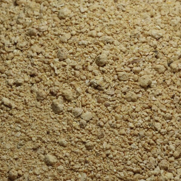 Soya Beans