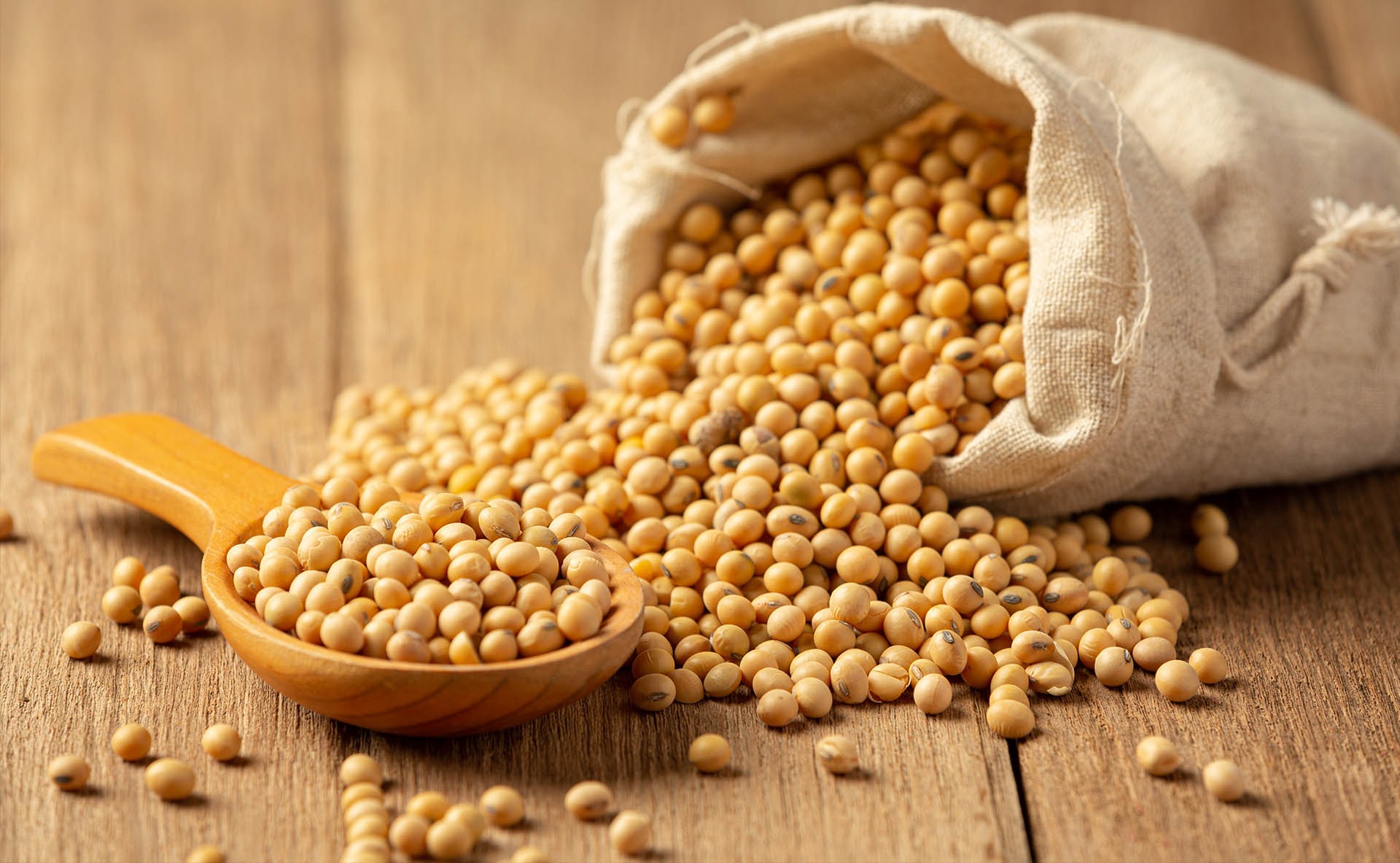 PULSES & SPICES