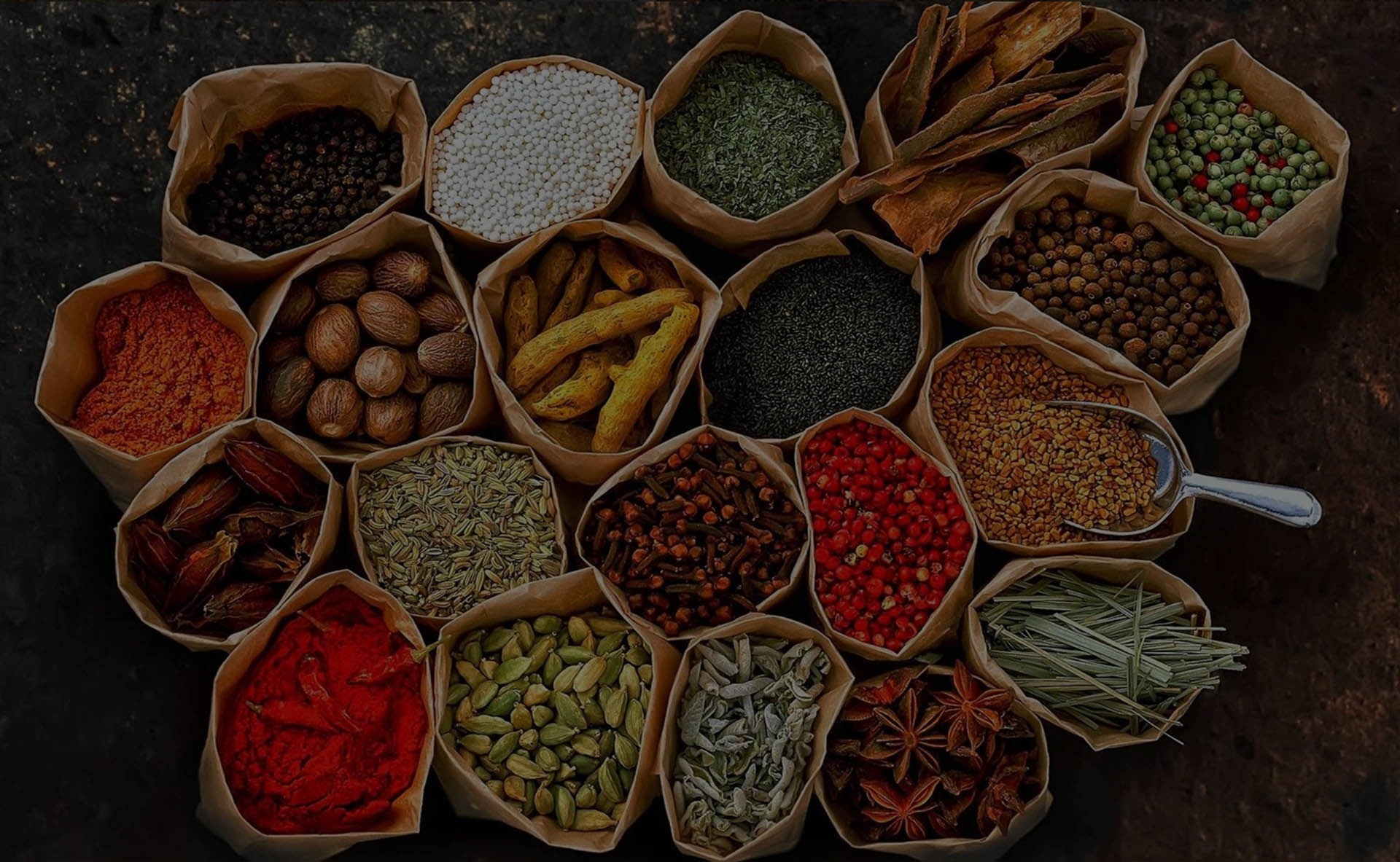 OIL SEEDS