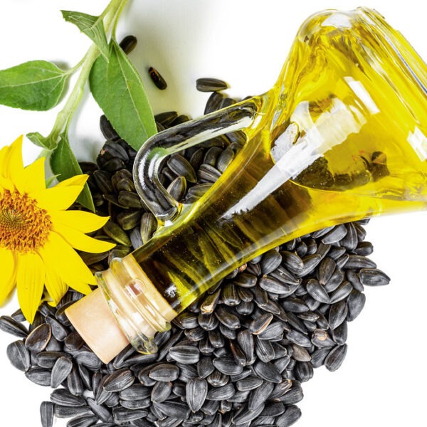 Sunflower Seeds