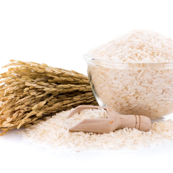 Rice